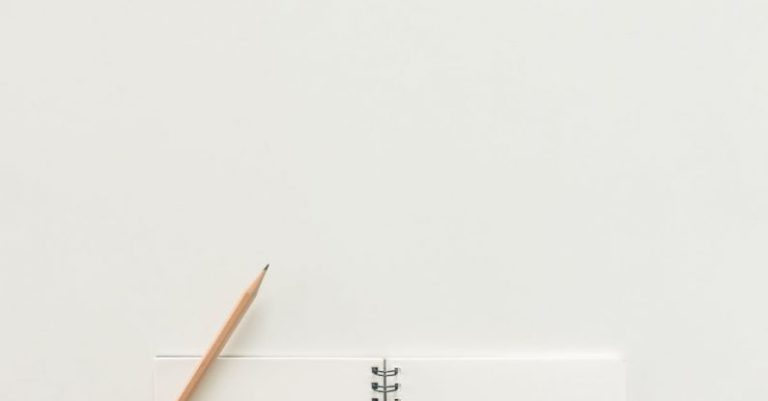 Workspace - Opened Notebook