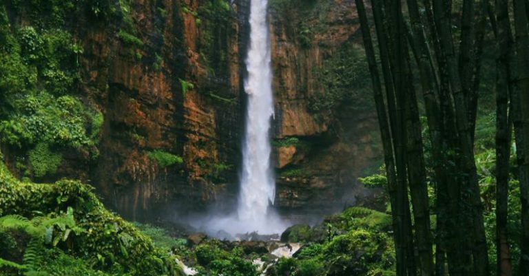 High Energy - From above of picturesque view of cascade with fast water stream falling from rough mounts into shallow creek with unrecognizable tourist surrounded by green trees in daylight