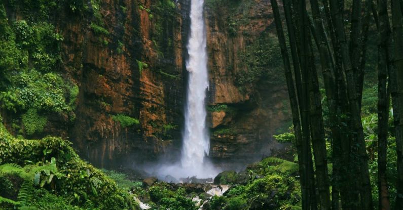 High Energy - From above of picturesque view of cascade with fast water stream falling from rough mounts into shallow creek with unrecognizable tourist surrounded by green trees in daylight